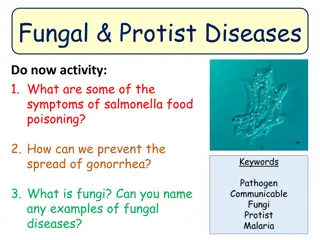 Fungal and Protist Diseases: Impacts and Prevention