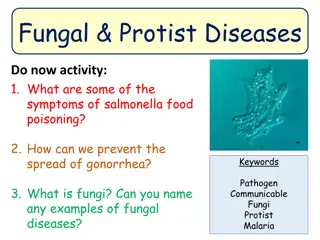 Understanding Fungal and Protist Diseases: Impacts and Prevention