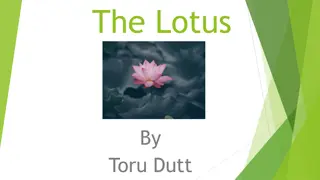 The Lotus by Toru Dutt - Poetic Exploration of Love and Beauty