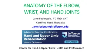 The Anatomy of Elbow, Wrist, and Hand Joints