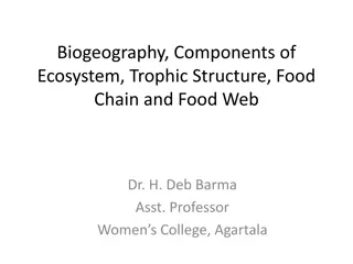 Biogeography, Ecosystem Components, Trophic Structure, Food Chain, and Food Web