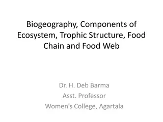 Understanding Biogeography, Ecosystem Components, Trophic Structure, Food Chain, and Food Web