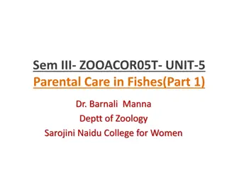 Parental Care in Fishes: Importance and Diversity