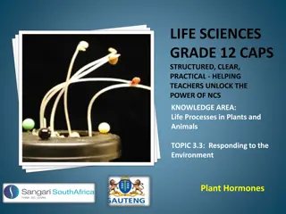 Plant Hormones and Their Functions in Plants