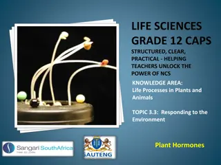 Understanding Plant Hormones and Their Functions in Plants