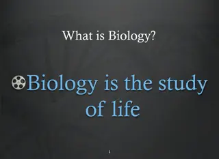 The Basics of Life: Understanding Biology and Life Functions