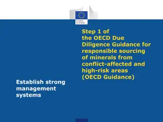 OECD Due Diligence Guidance: Establish Strong Management Systems