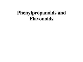 Understanding Phenylpropanoids and Flavonoids in Plant Biochemistry