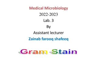 The Gram Stain Technique in Medical Microbiology Lab