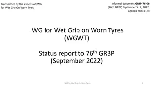 Update on IWG for Wet Grip on Worn Tyres Activities