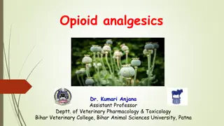 Opioid and Non-Opioid Analgesics in Pain Management