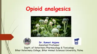 Understanding Opioid and Non-Opioid Analgesics in Pain Management