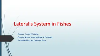 The Lateral Line System in Fishes for Aquaculture & Fisheries