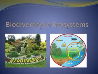 Importance of Biodiversity and Sustainability in Ecosystems