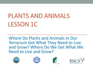 Plants and Animals: Where Do They Get What They Need to Live and Grow?