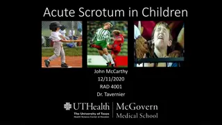 Evaluation of Acute Scrotum in Children: Clinical Insights and Imaging Findings