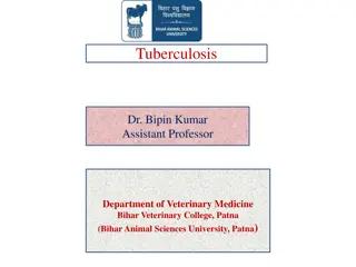 Bovine Tuberculosis: A Zoonotic Disease Impacting Humans and Animals