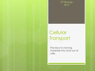 Cellular Transport and the Role of Cell Membrane