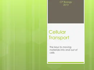 Understanding Cellular Transport and the Role of Cell Membrane