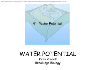 Understanding Water Potential and Solute Concentration in Biological Systems