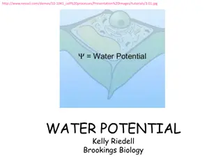 Water Potential and Solute Concentration in Biological Systems