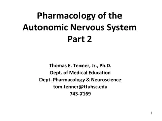 Pharmacology of the Autonomic Nervous System Part 2 Summary and Learning Objectives