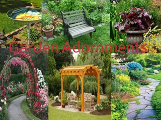 Enhance Your Garden with Beautiful Adornments