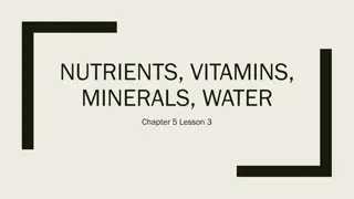 Nutrients, Vitamins, Minerals, and Water in Your Body