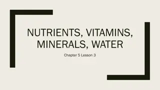 Understanding Nutrients, Vitamins, Minerals, and Water in Your Body