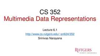 Multimedia Data Representations in Networking