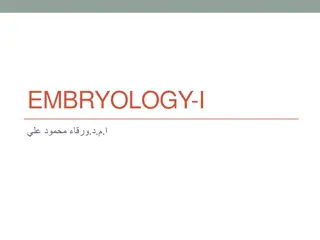 Development of Human Face and Oral Cavity in Embryology