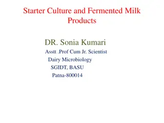 Strategies for Starter Culture Propagation in Fermented Milk Products