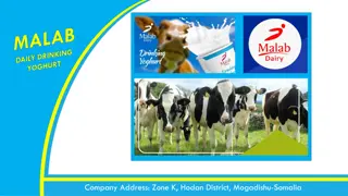Malab Dairy Company - Leading Dairy Producer in Somalia