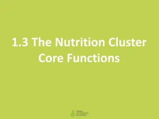 Nutrition Cluster Core Functions Overview