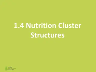 Nutrition Cluster Structures and Coordination Roles