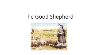 Reflection on Jesus, the Good Shepherd