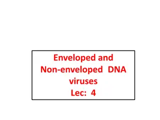 Understanding Enveloped and Non-enveloped DNA Viruses