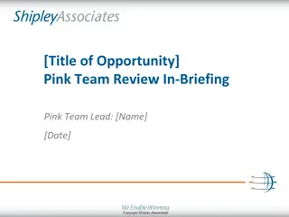 Efficient Pink Team Review for Proposal Success