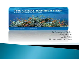 Discovering the Wonders of the Great Barrier Reef