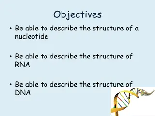 Structure and Importance of DNA