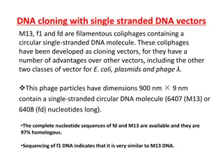 DNA Cloning with Filamentous Coliphages