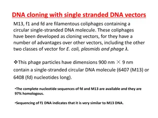 Understanding DNA Cloning with Filamentous Coliphages