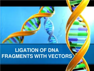 Understanding DNA Ligation Techniques for Molecular Biology Applications