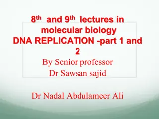 DNA Replication Process: Insights and Mechanisms