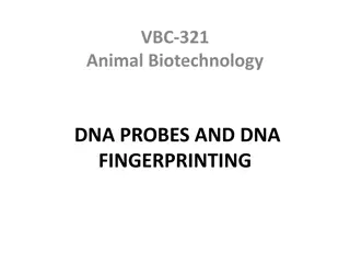 DNA Probes and Fingerprinting in Animal Biotechnology