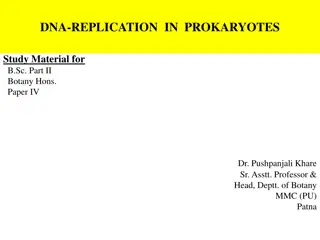 DNA Replication in Prokaryotes for B.Sc. Botany Hons. Students