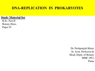 Understanding DNA Replication in Prokaryotes for B.Sc. Botany Hons. Students