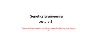 Recombinant DNA Technology and Cloning Vectors in Genetics Engineering