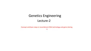 Understanding Recombinant DNA Technology and Cloning Vectors in Genetics Engineering