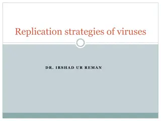 Viral Genome Replication Strategies and Mechanisms